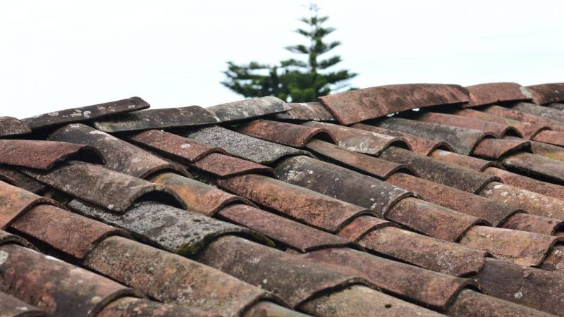 Simple and Smart Roof Maintenance Checklist for Homeowners