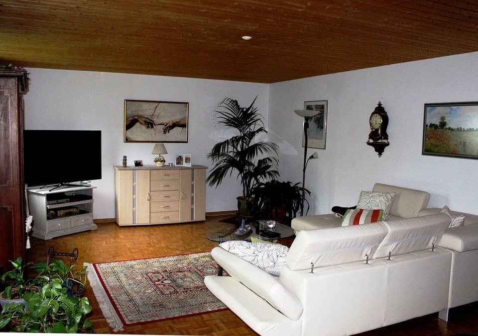 Simple And Cheap Ceiling Ideas for your Living Room