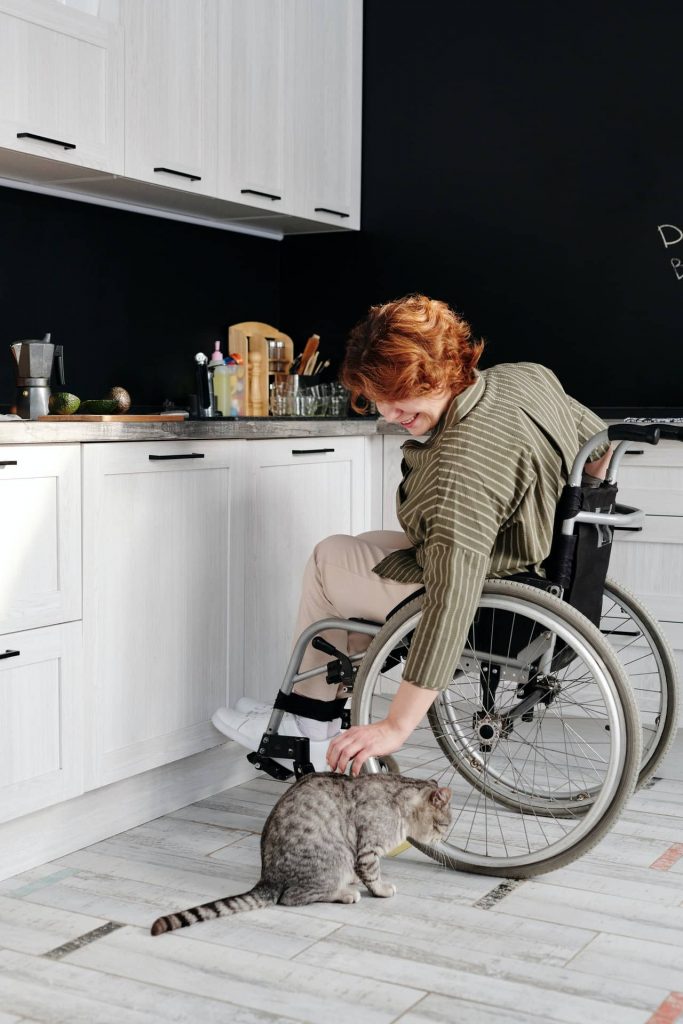 pet cat in kitchen with owner on wheelchair