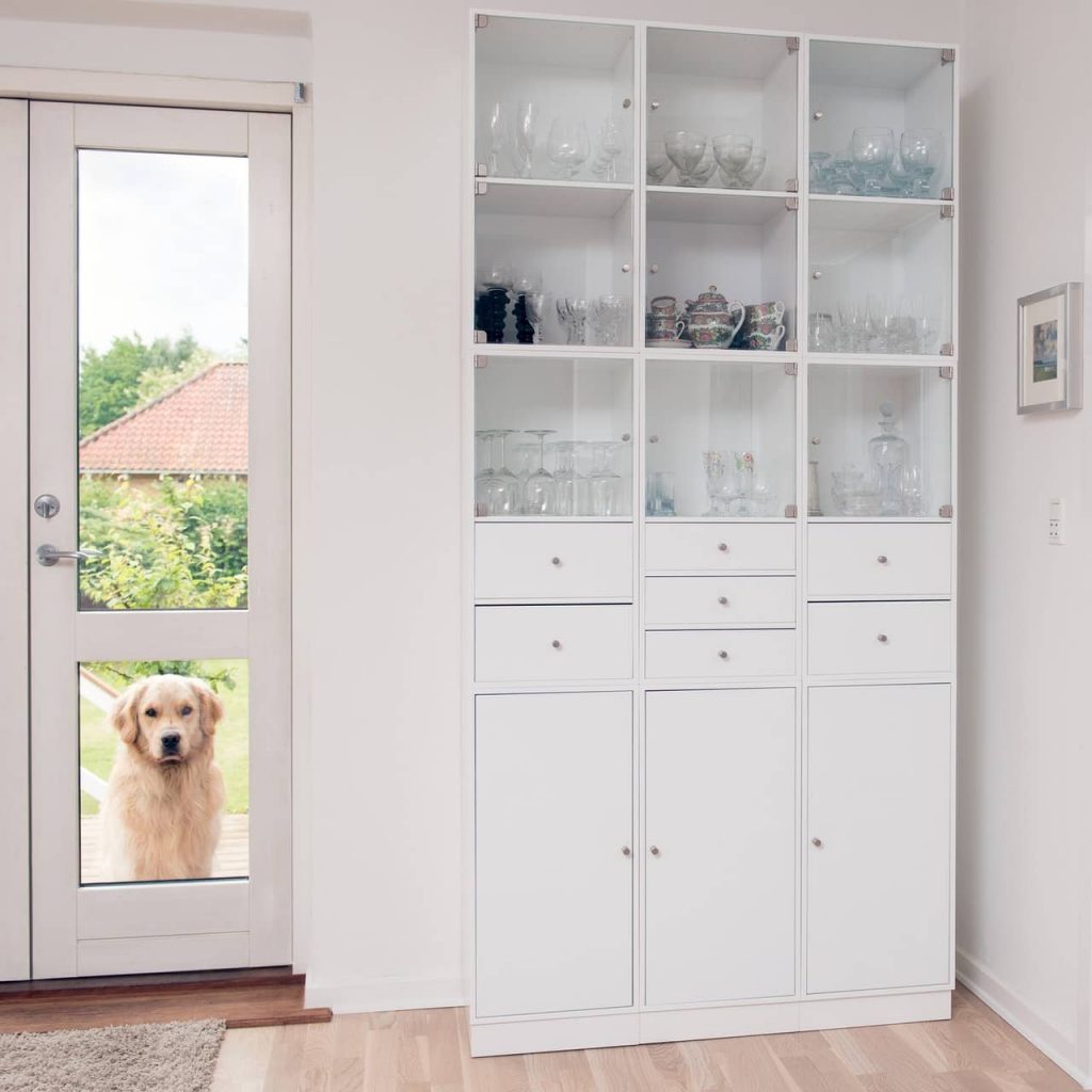 Pet dog standing at a door of pet friendly house