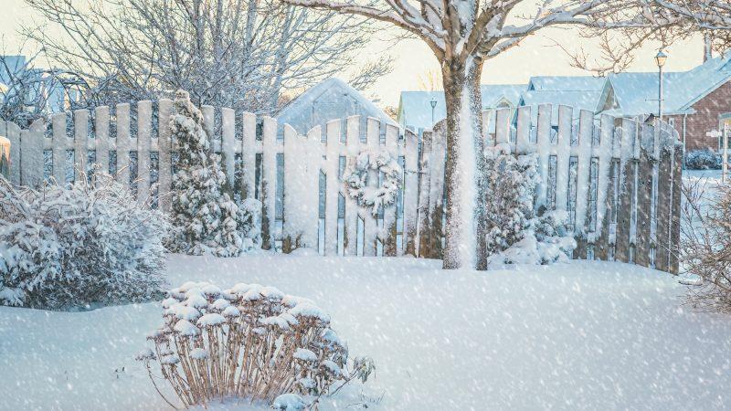 How To Prepare Your Yard For Winter