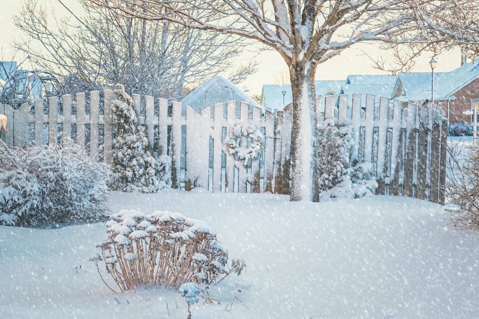 How To Prepare Your Yard For Winter