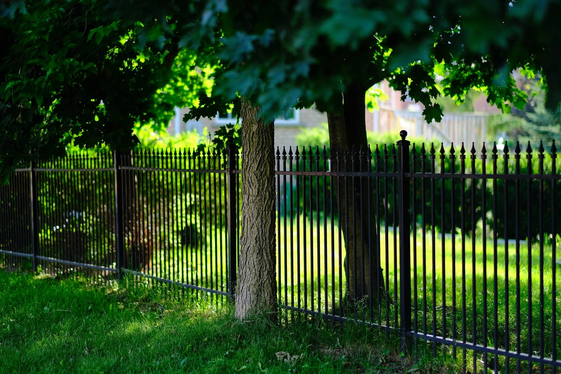 6 Tips to Consider When Choosing Fence Repair Services