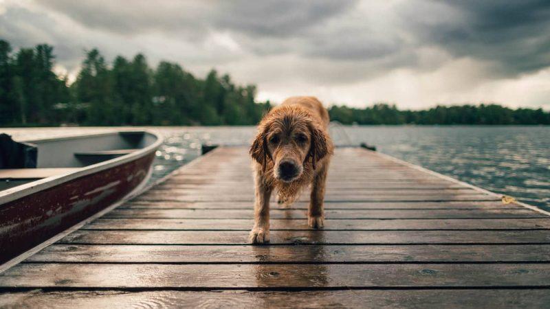 How Can A Boat Dock Increase The Value Of lakefront home?