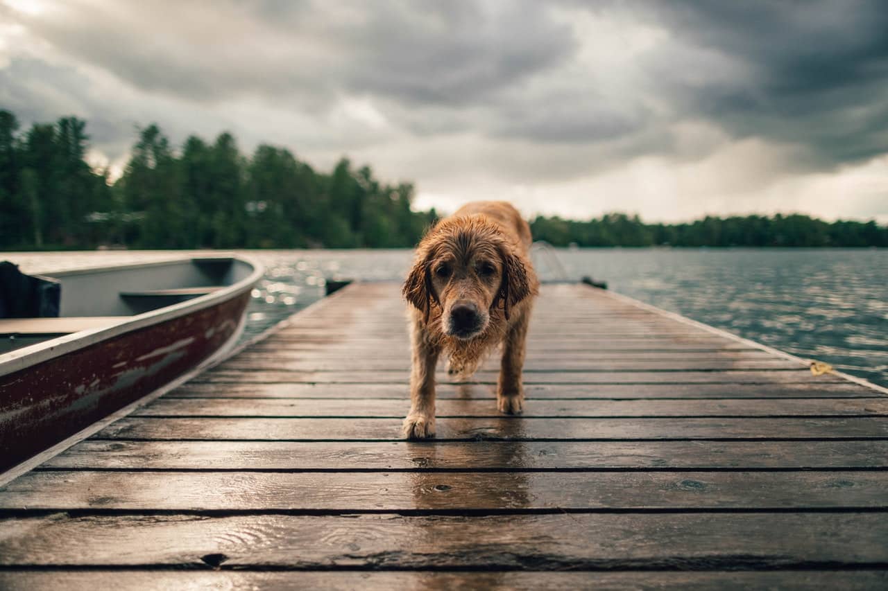 How Can A Boat Dock Increase The Value Of lakefront home?
