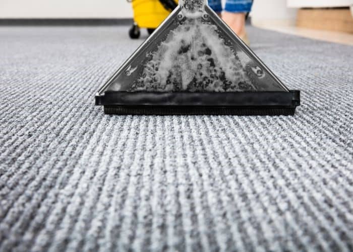 Is Carpet Cleaning Worth It? A Home Owners’ Guide