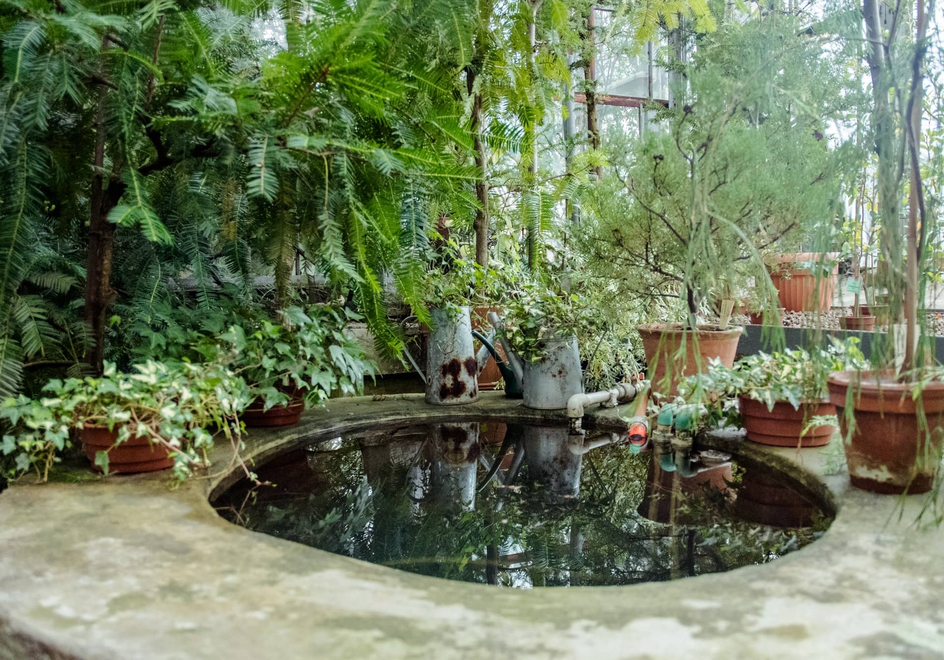 What To Do To Ensure A Garden Pond Lasts