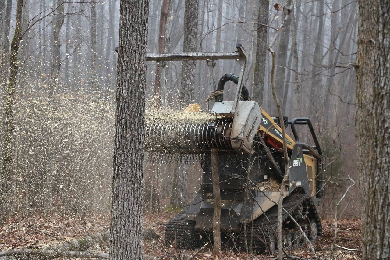 Buying An Electric Leaf Mulcher? You Should Know This First!