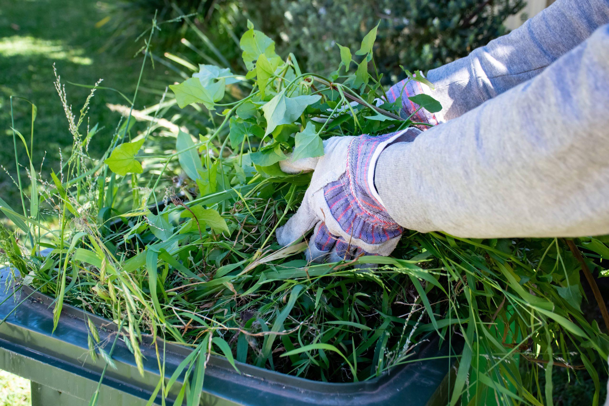 Top 5 Garden Waste Disposal Options For Homeowners