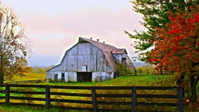 How Do You Keep Pole Barns From Rotting?