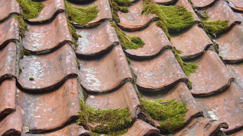 Common Causes Of Residential Roof Damage