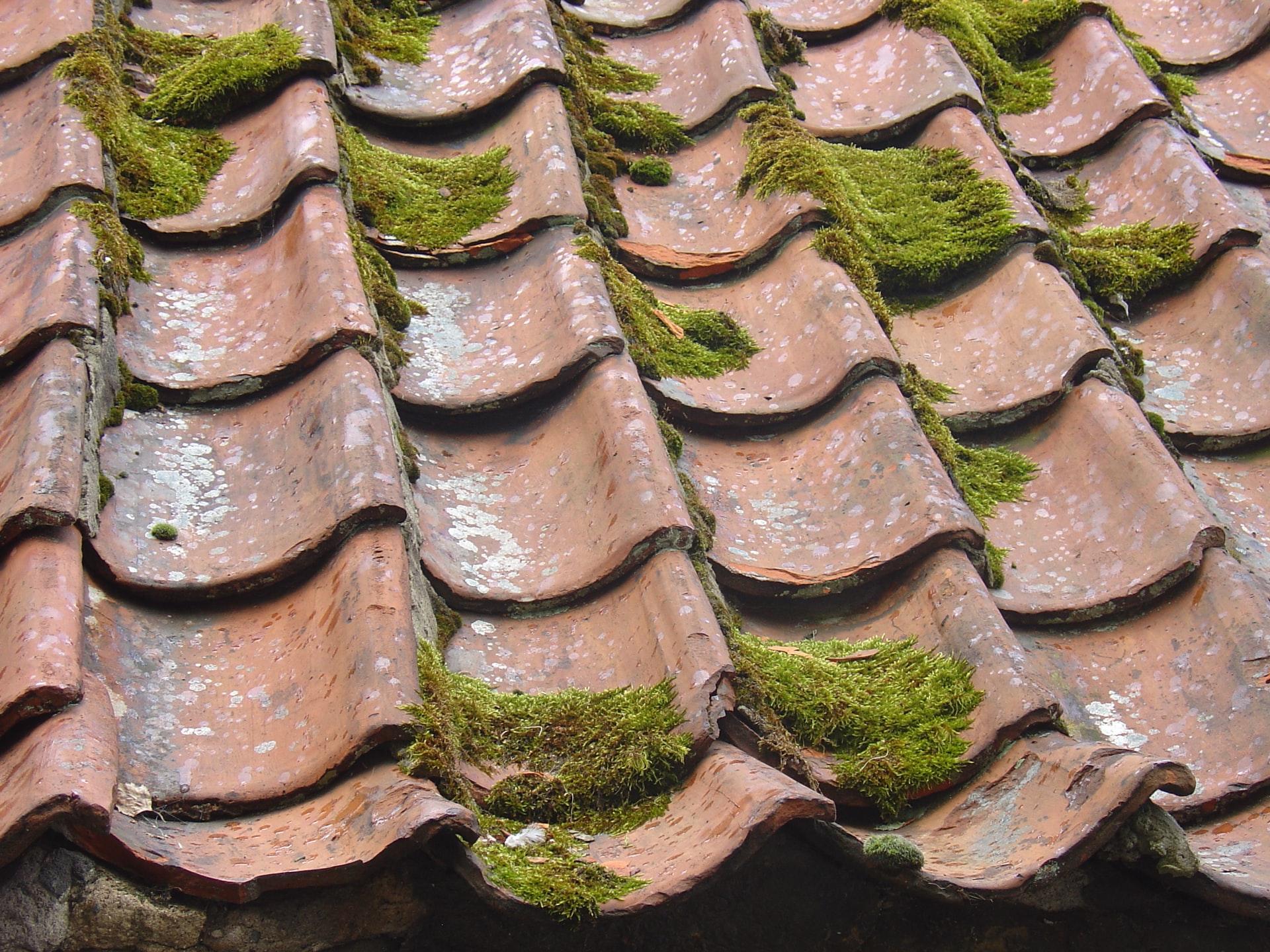 Common Causes Of Residential Roof Damage