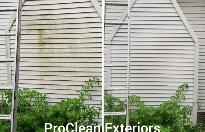 6 Signs You Need A Pressure Washing Service