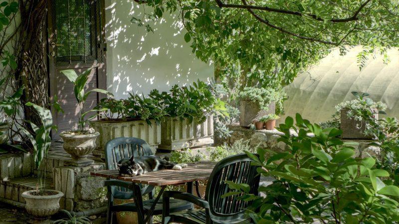 12 Simple Ideas To Upgrade Your Garden