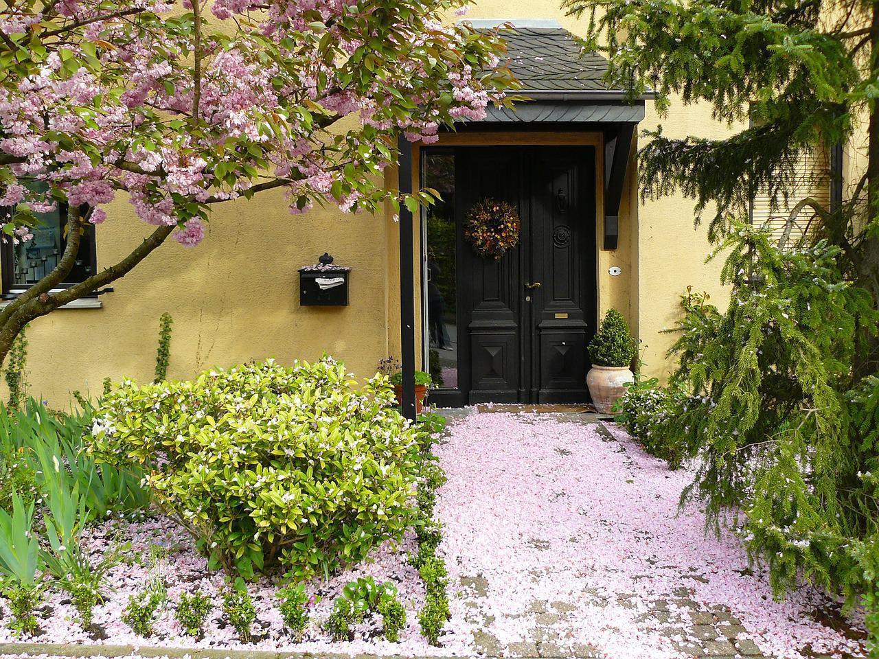 Which Type Is The Best Wood For A Front Door?