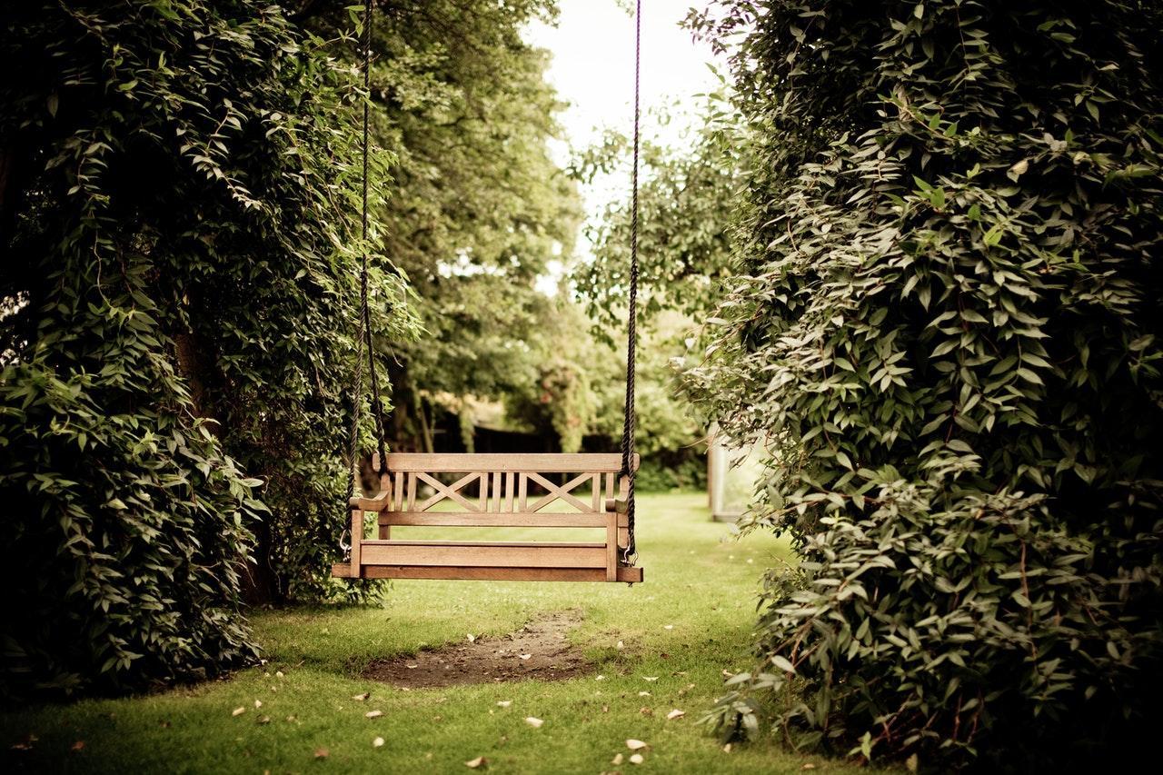 6 Common Gardening Issues You Might Face This Summer