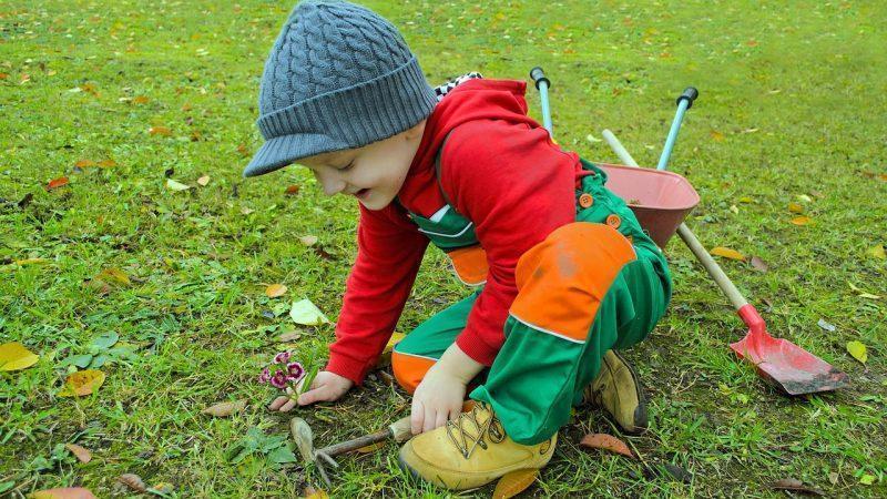 How to Make the Most of a Tiny Garden That Doesn’t Have Much Privacy