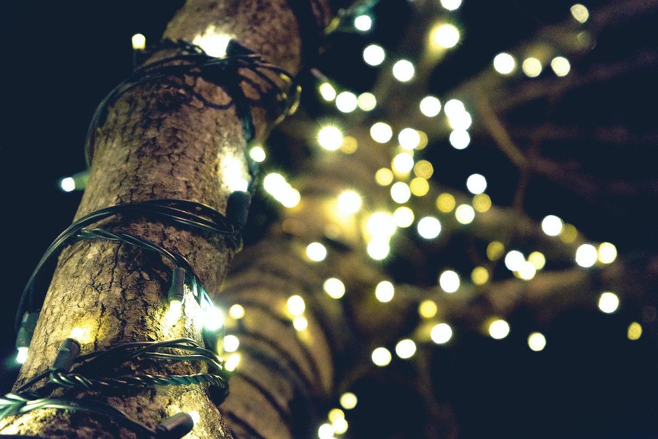 5 Top Christmas Lighting Companies