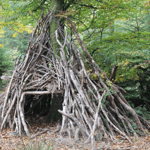 What Do You Need To Build A Survival Shelter?