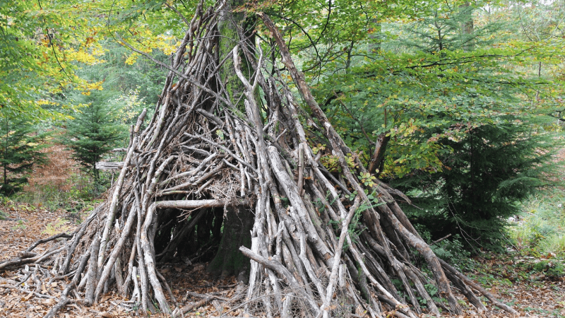 What Do You Need To Build A Survival Shelter?