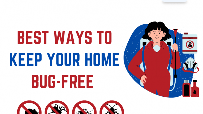 8 Ways To Keep Your Home Bug-Free