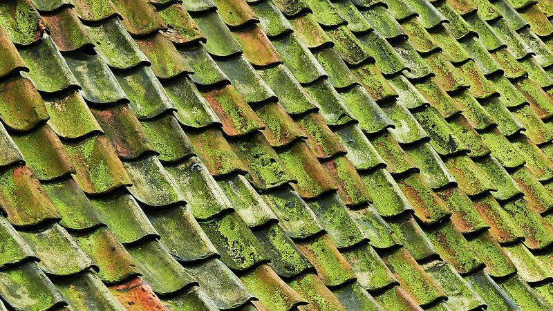 5 Reasons For Replacing Roofing In Denver