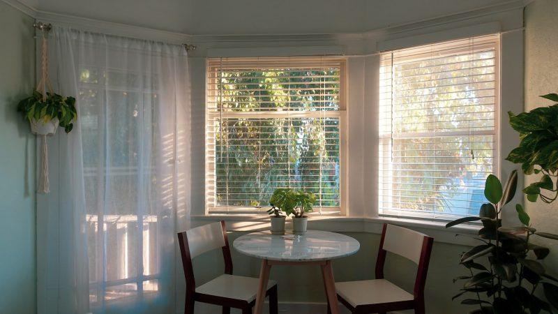 The Blinds Experts: A Guide To Blind Specialists In Auckland