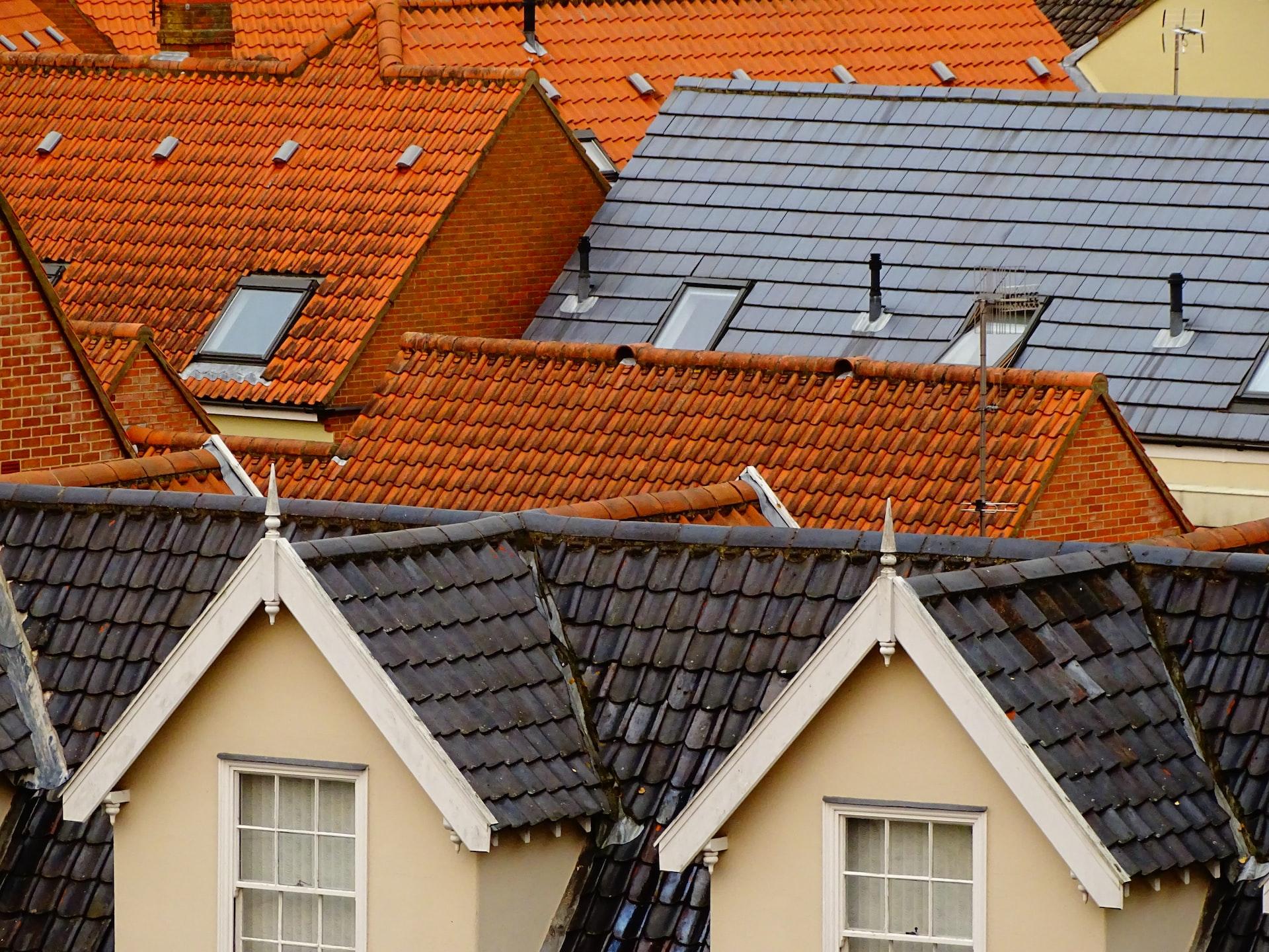 The Importance Of Professional Roof Repair In Auckland