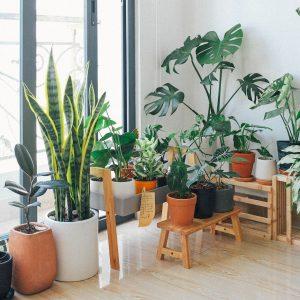 How To Make A Focal Point In Any Room