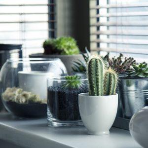 The Pros And Cons Of Using Coupons For Home Goods Shopping Online